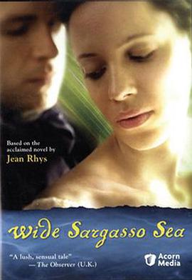 ãã�庣 Wide Sargasso Sea�������