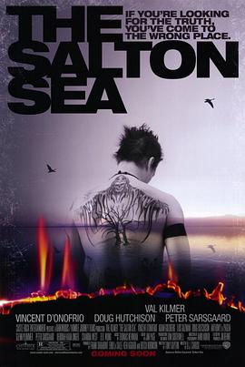 ����׷�� The Salton Sea�������