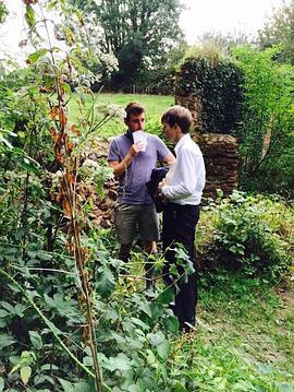 ��ϵ��糿 Morning is Broken�������