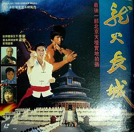 龙火长城 龍火長城剧情介绍