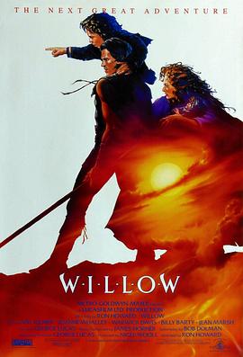 ���Ƽʻ� Willow�������