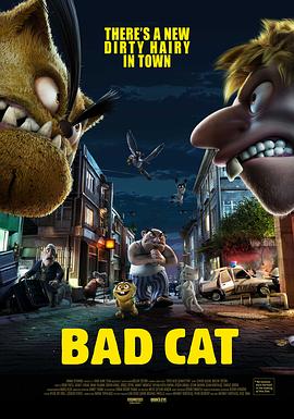 Ʀ��è Kt�� Kedi Serafettin�������