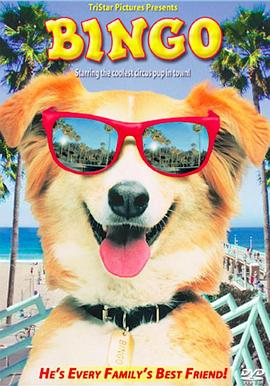 ��Ȯ���� Bingo�������