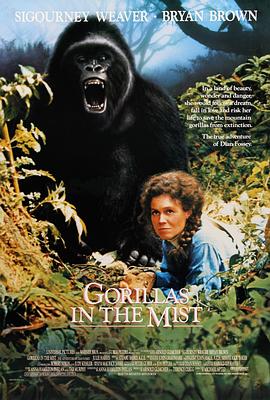 ����ɭ��ʮ���� Gorillas in the Mist: The Story of Dian Fosse