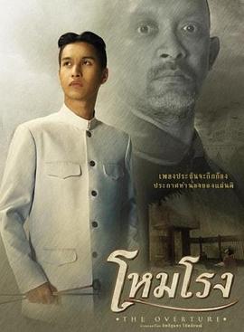 ����ľ��ʦ �������