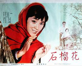 ʯ�񻨾������