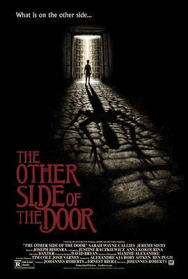 ����֮�� The Other Side of the Door�������