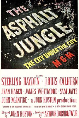 ҹ����δ�� The Asphalt Jungle�������