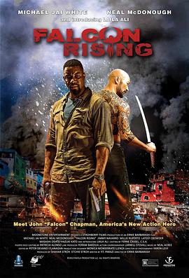 ��ӥͻ�� Falcon Rising�������