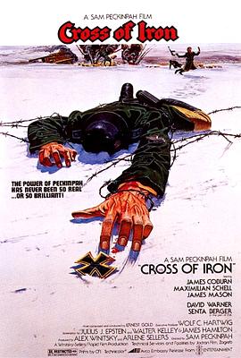 ��ʮ��ѫ�� Cross of Iron�������