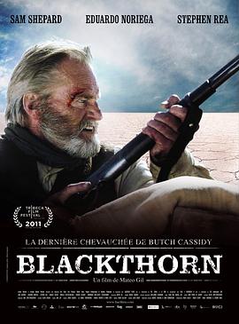 �ھ��� Blackthorn�������