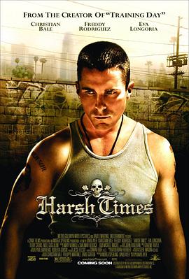 �ǳ�ʱ�� Harsh Times�������