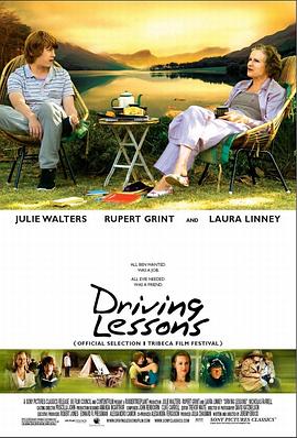 ������ʻ�� Driving Lessons�������