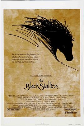 ����� The Black Stallion�������