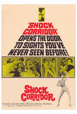 �ֲ����� Shock Corridor�������