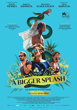 ���վ��� A Bigger Splash�������