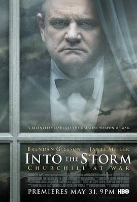 ����籩 Into the Storm�������