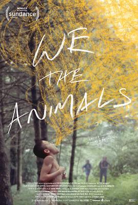 ���ǣ����� We the Animals�������