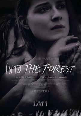 ɭ��� Into the Forest�������