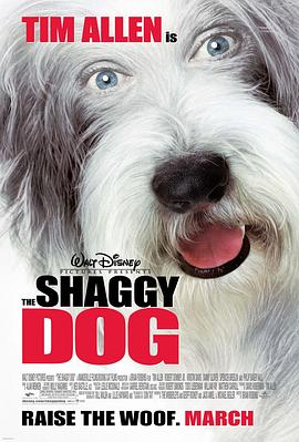 ��ë�� The Shaggy Dog�������