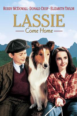 ��Ȯ���� Lassie Come Home�������