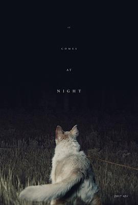 ��ҹ��� It Comes at Night�������