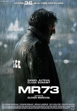 MR 73����ǹ MR 73�������