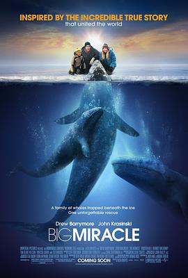 ���� Big Miracle�������