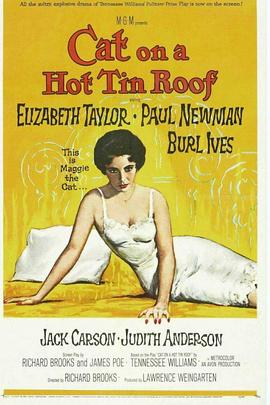 �����ɸ� Cat on a Hot Tin Roof�������