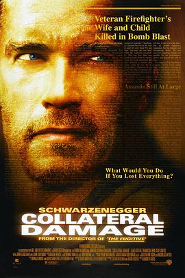 ����˺� Collateral Damage�������