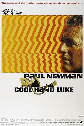 �����Ѫ Cool Hand Luke�������