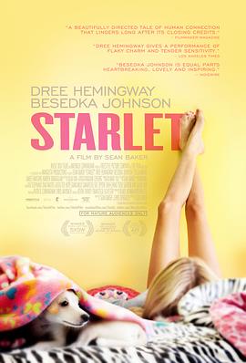 ����Ǿޱ Starlet�������