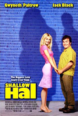 �����������ʩ Shallow Hal�������