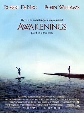 �����ʲ��� Awakenings�������