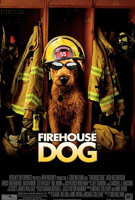 ����Ȯ Firehouse Dog�������