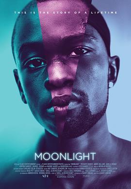 �¹��к� Moonlight�������