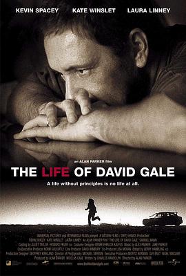 �����������һ�� The Life of David Gale�������