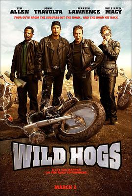 ��Ұ��쮿� Wild Hogs�������