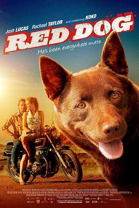��Ȯ���ռ� Red Dog�������