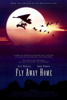 ����߷� Fly Away Home�������