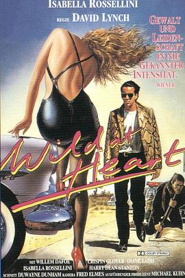 ���Ŀ�Ұ Wild at Heart�������