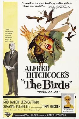 Ⱥ�� The Birds�������
