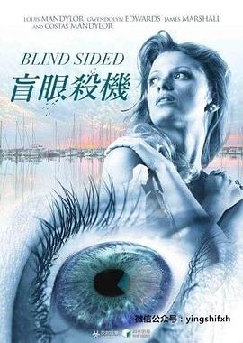 ä��ɱ�� Blindsided�������