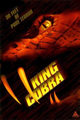 �۾����� King Cobra�������