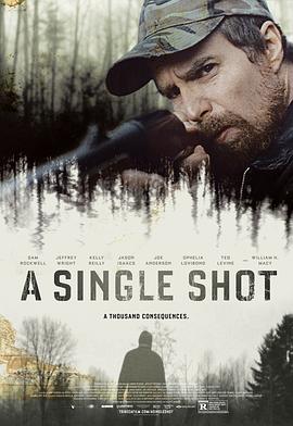 ����һ�� A Single Shot�������