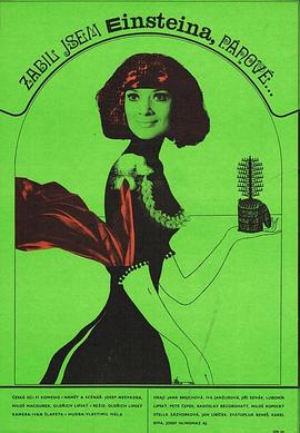 ��ʿ�ǣ��ҰѰ���˹̹���׵���Ŷ Zabil jsem Einsteina, panove