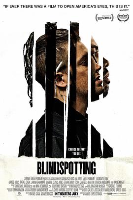 ä�� Blindspotting�������