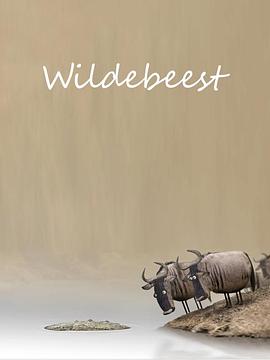 ţ�� Wildebeest�������