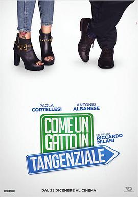 ����·��һֻè Come un gatto in tangenziale�������