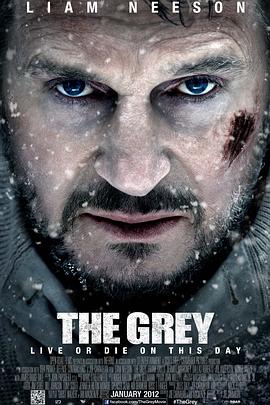 ���Ǵ�ս The Grey�������